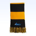 HRCS_SM-STA02_BlackGold